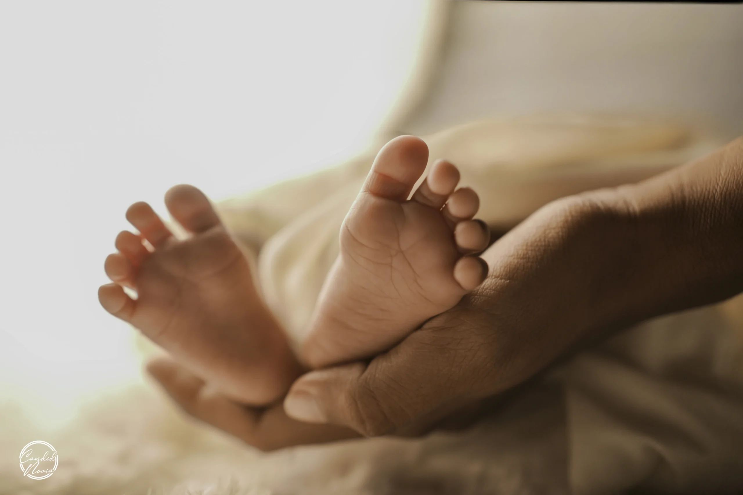 Akhila – Newborn Shoot for Twin Babies in Karukachal