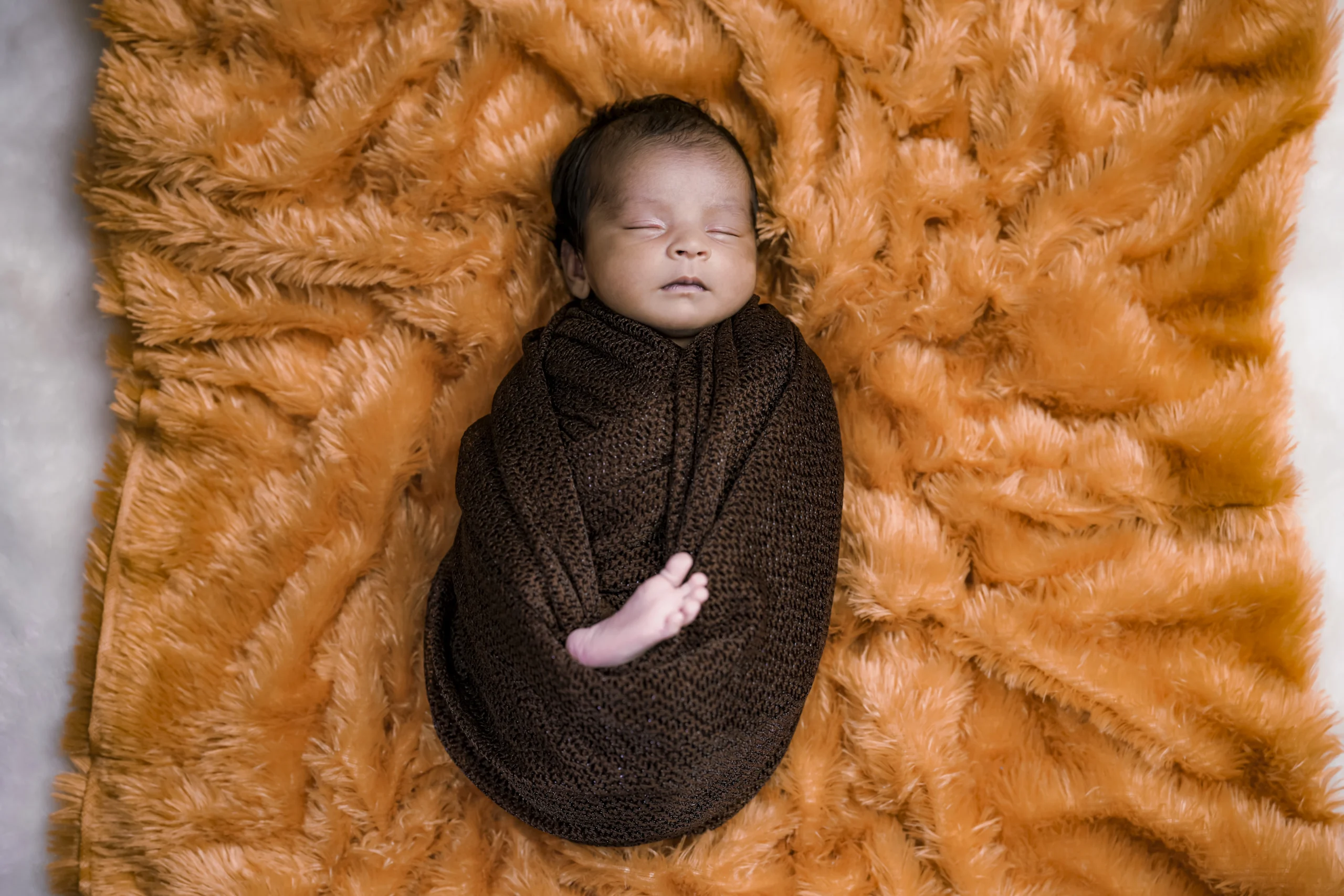 Newborn Photoshoot of Baby Nithara