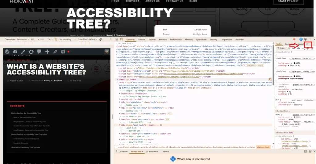 Find accessibility panel
